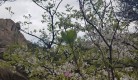 20250420-001-scene.jpg